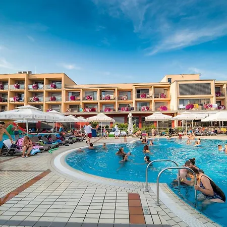 Daire Near Terme Paradiso *